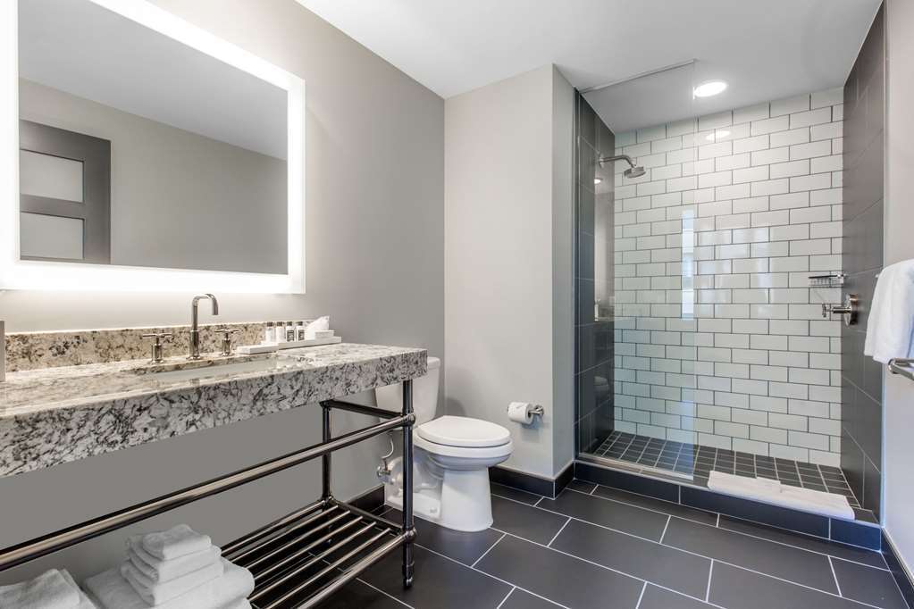 Cambria Downtown Convention Center Houston